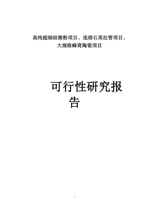 连熔石英拉管项目大规格蜂窝陶瓷项目可行性报告.doc