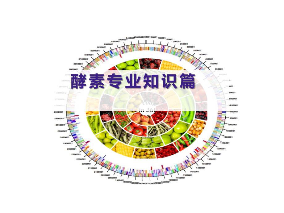 酵素产品讲解PPT课件.ppt_第1页