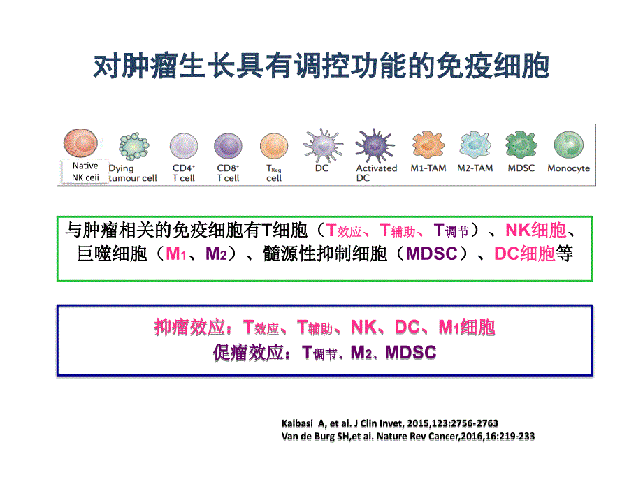 肿瘤免疫微环境与放射治疗ppt课件.pptx_第3页