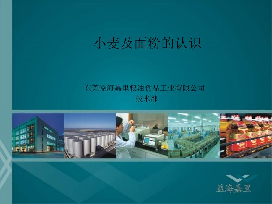 面粉基础知识介绍PPT蛋糕.ppt_第1页