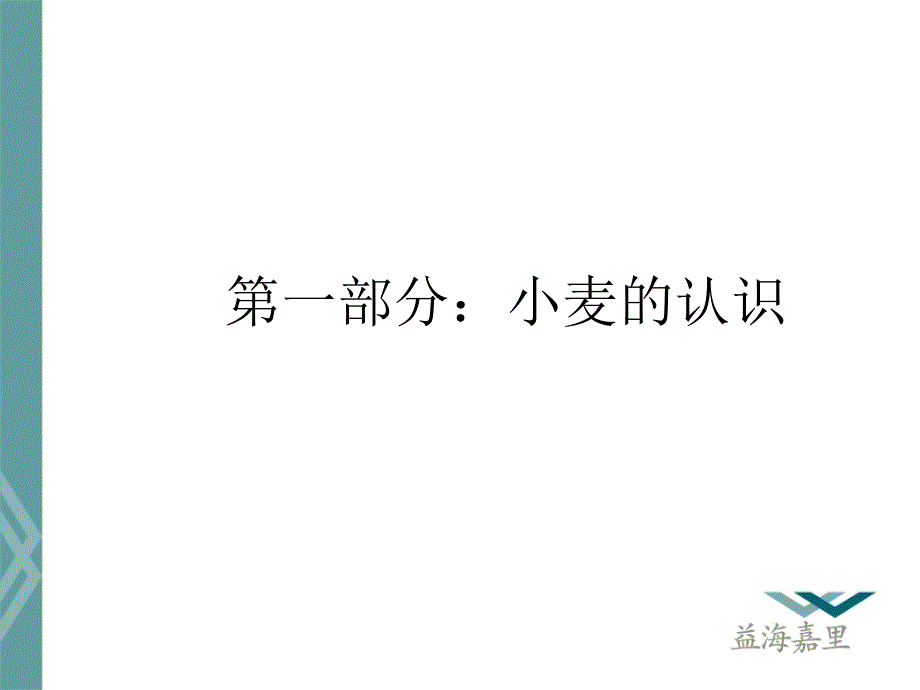 面粉基础知识介绍PPT蛋糕.ppt_第2页
