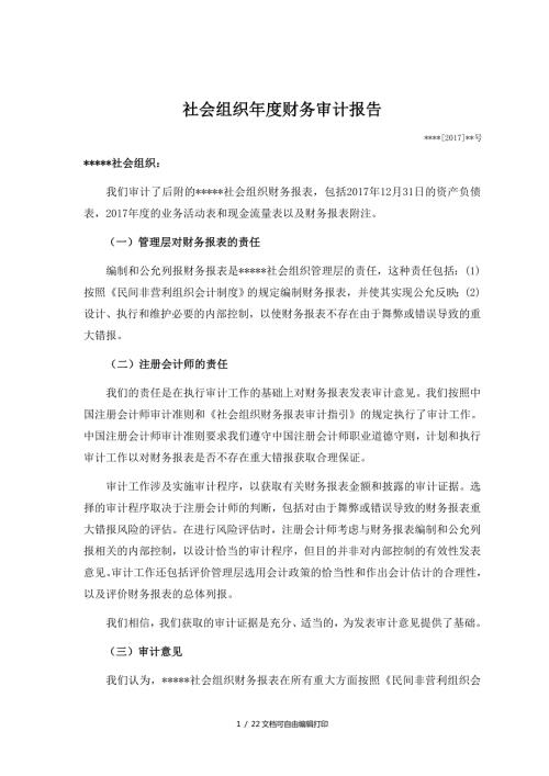 社会组织财务审计报告.DOC
