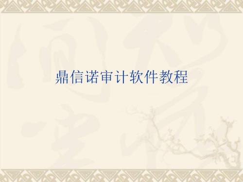 鼎信诺审计软件教程.ppt