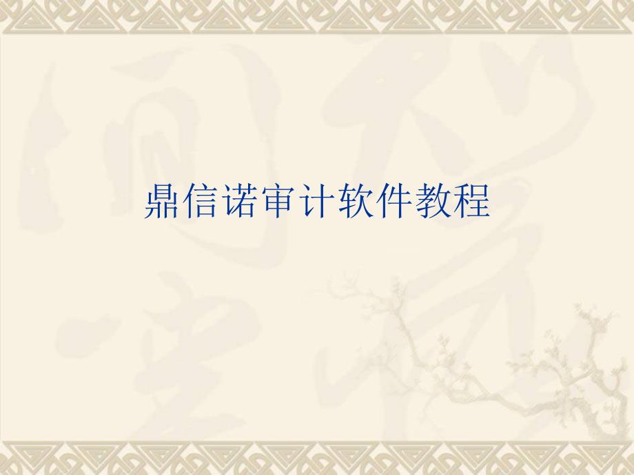 鼎信诺审计软件教程.ppt_第1页