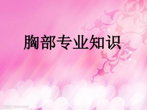 胸部专业培训PPT课件.ppt