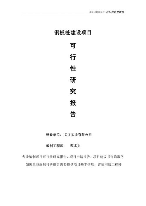 钢板桩项目可行性研究报告完整可修改版.doc