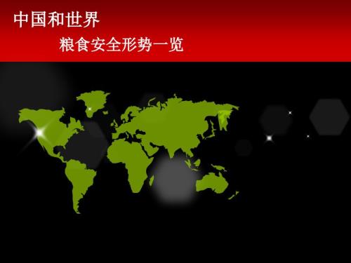 粮食安全问题PPT课件.ppt