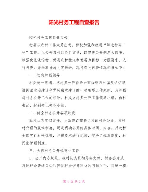 阳光村务工程自查报告.doc
