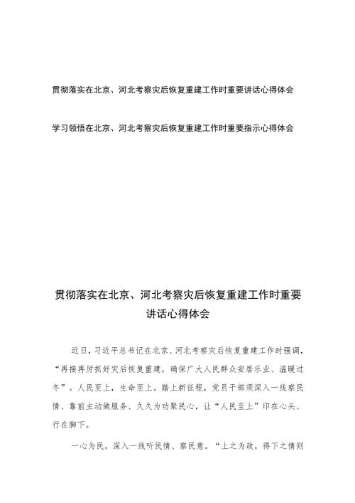 贯彻落实在北京河北考察灾后恢复重建工作时重要讲话心得体会2篇.docx