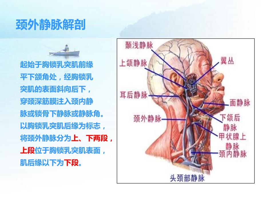 颈外静脉穿刺PPT课件.ppt_第3页