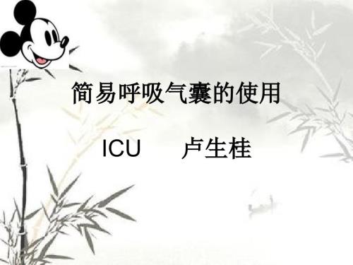 简易呼吸气囊PPT课件.ppt
