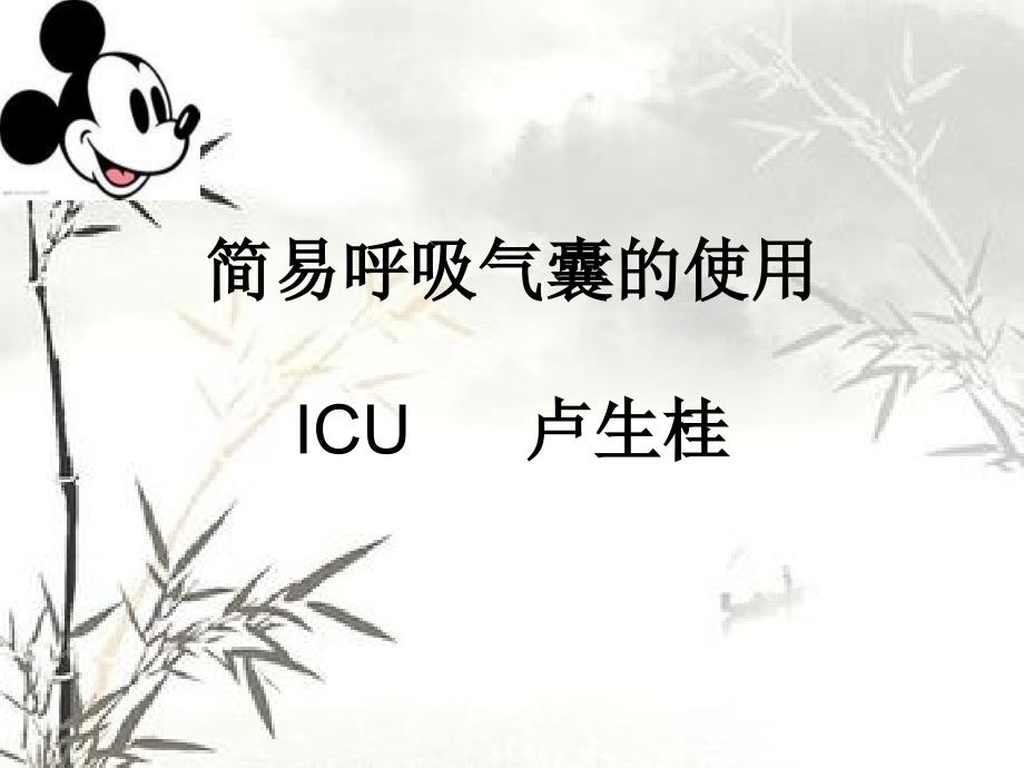 简易呼吸气囊PPT课件.ppt_第1页