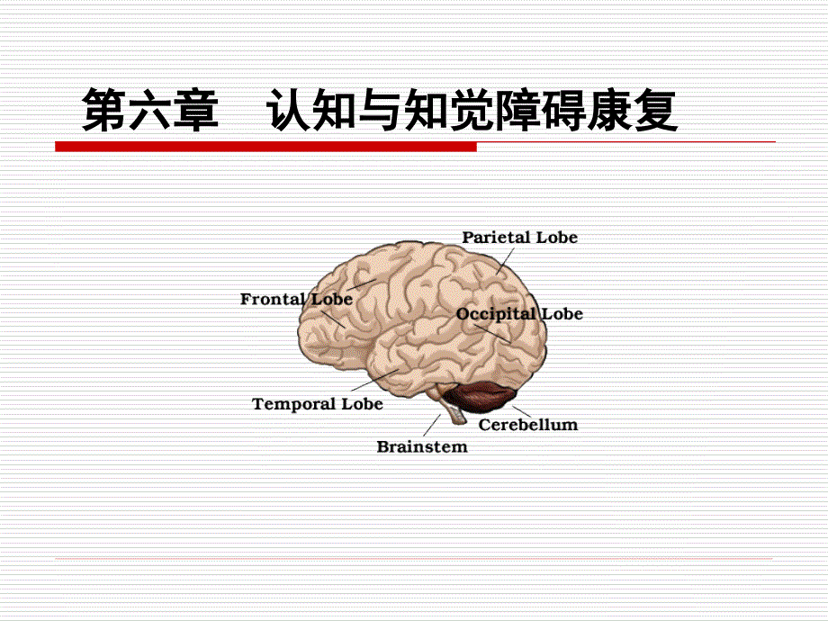 认知与知觉障碍康复.ppt_第1页