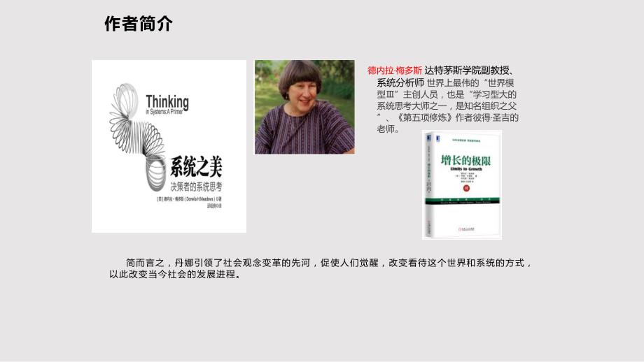 系统之美武华森PPT课件.pptx_第2页