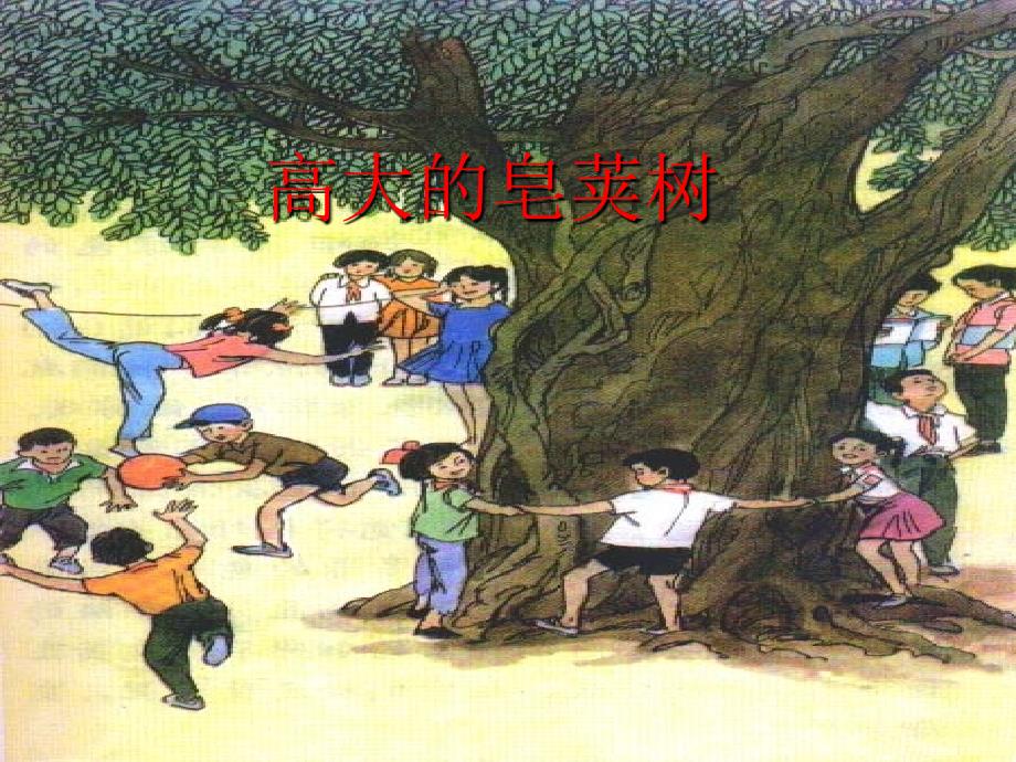 高大的皂角树课件.ppt_第1页