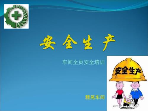 选矿厂安全生产培训ppt课件.ppt