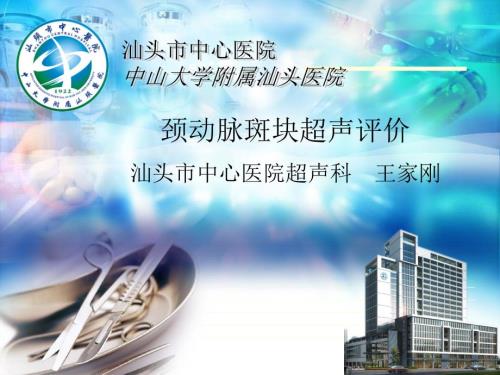颈动脉斑块超声评价ppt课件.ppt