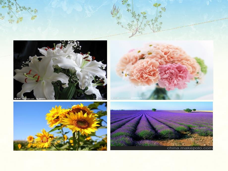 茉莉花音乐课件ppt.ppt_第3页