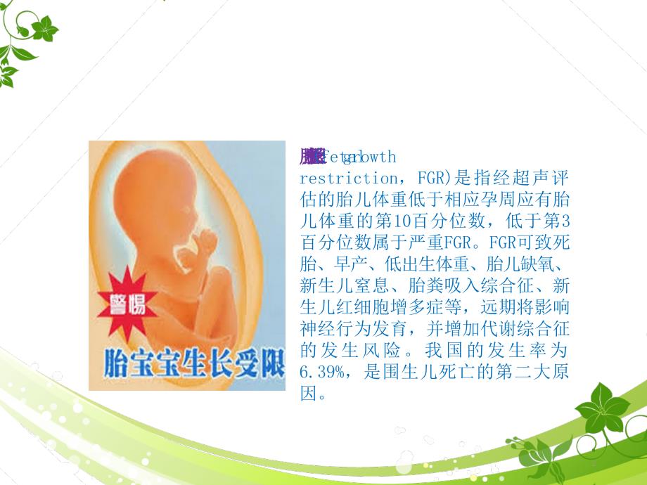 胎儿生长受限最新指南和共识PPT课件.ppt_第2页