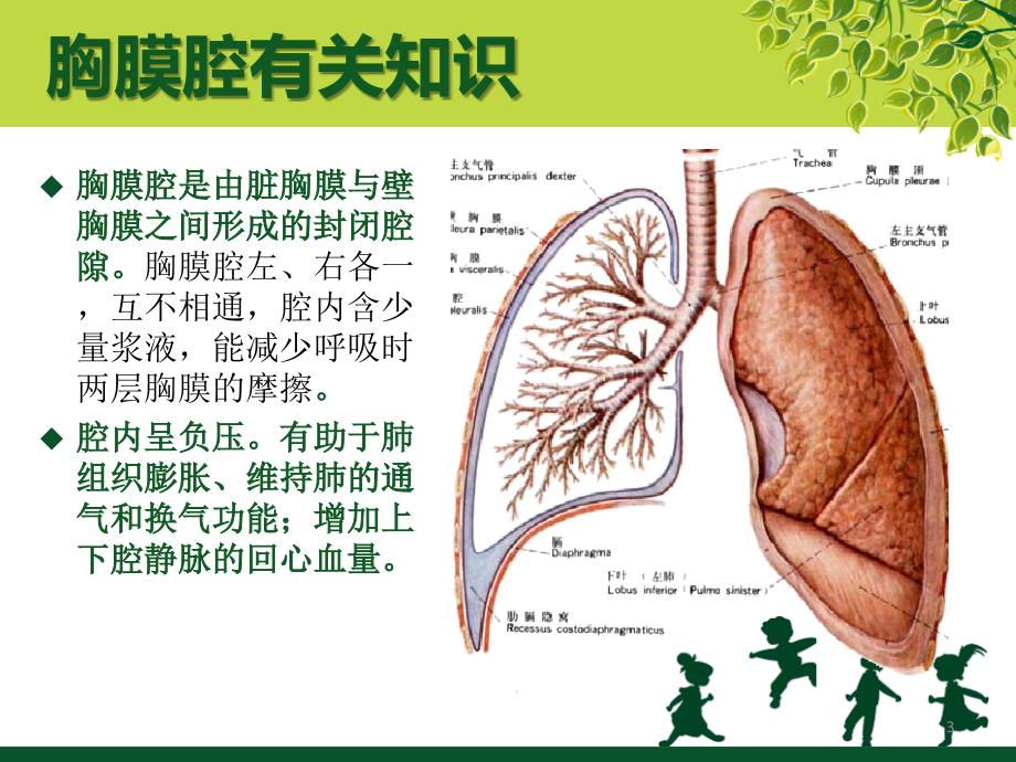 负压胸瓶及胸腔闭式引流的护理ppt课件.ppt_第3页