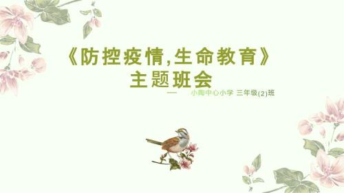 防控疫情生命教育主题班会课件.ppt