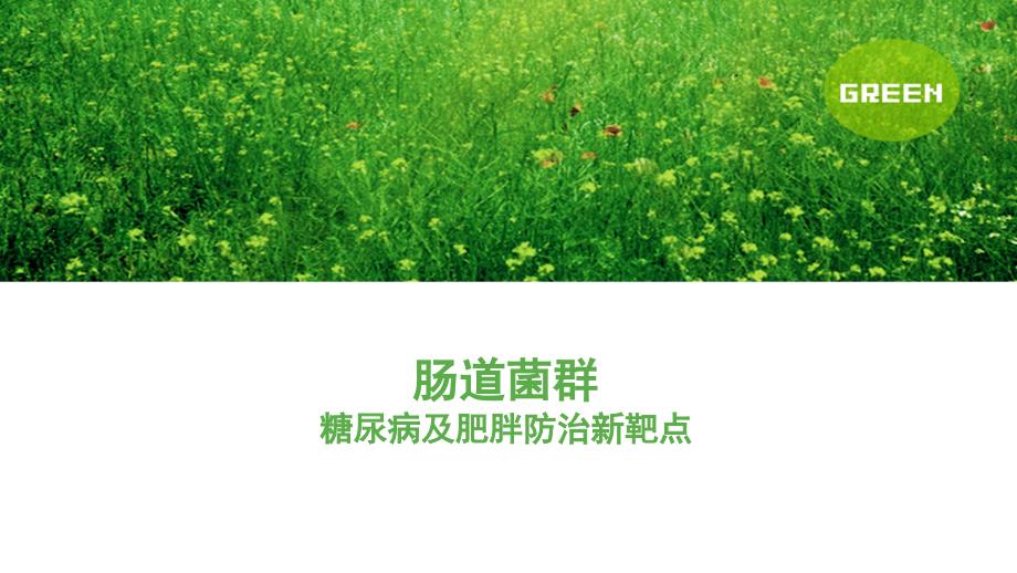 肠道菌群糖尿病及肥胖防治新靶点PPT课件02.pptx_第1页
