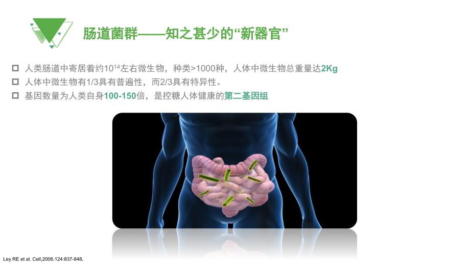 肠道菌群糖尿病及肥胖防治新靶点PPT课件02.pptx_第3页