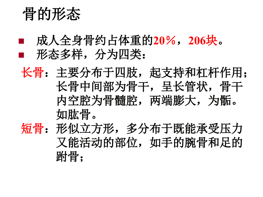 骨的力学性质.ppt_第3页