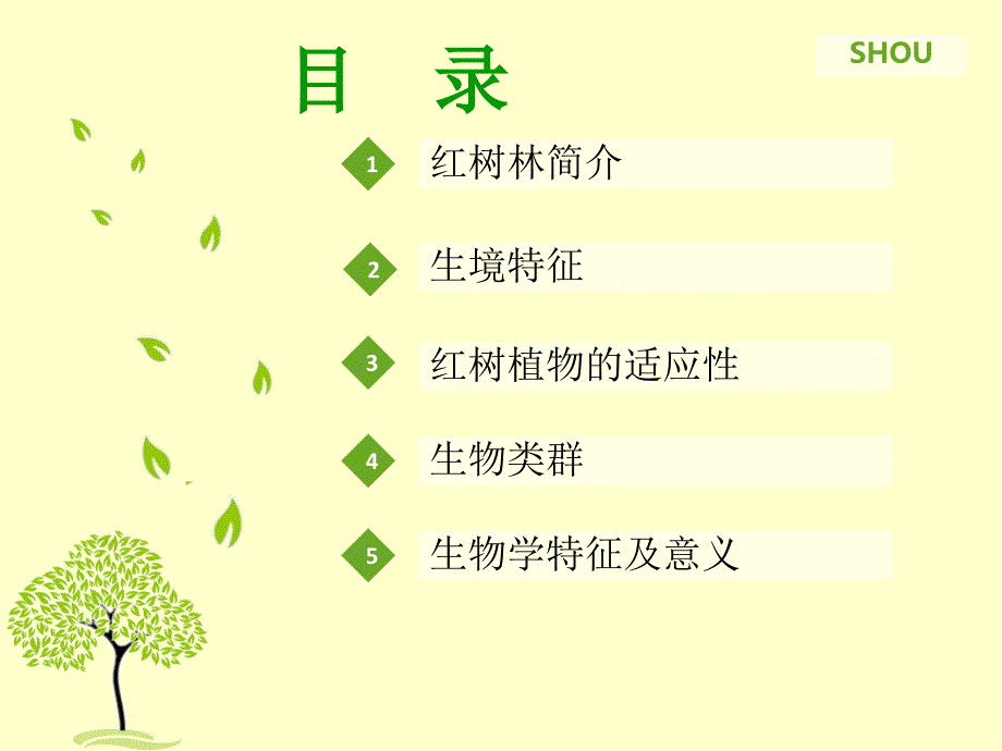 红树林生态系统PPT课件.ppt_第2页