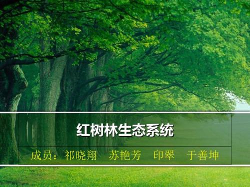 红树林生态系统PPT课件.ppt