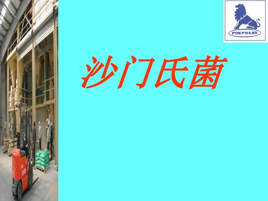 鸡常见疾病防治PPT课件.ppt_第3页