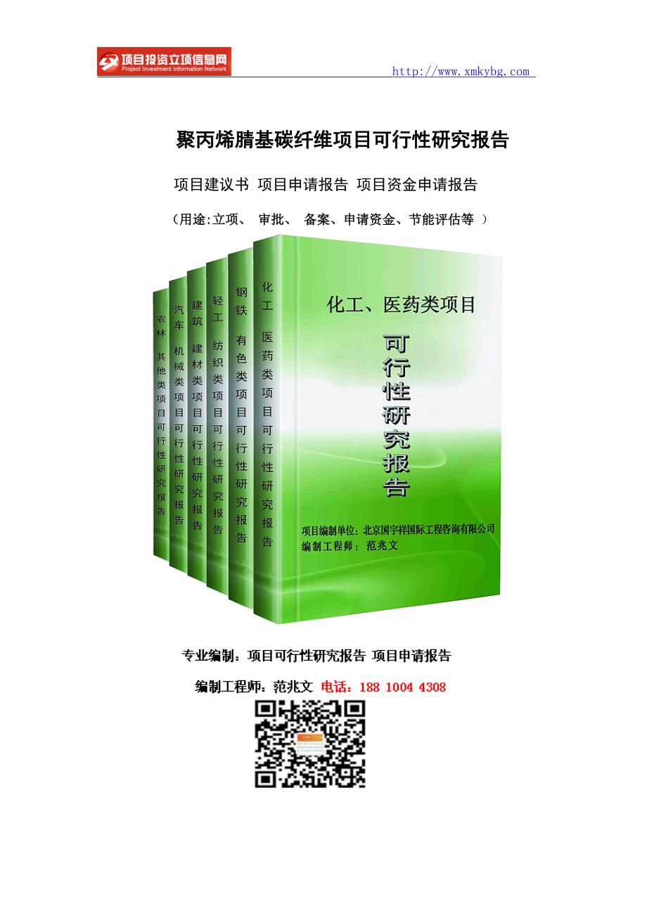聚丙烯腈基碳纤维项目可行性研究报告备案市场前景.doc_第1页