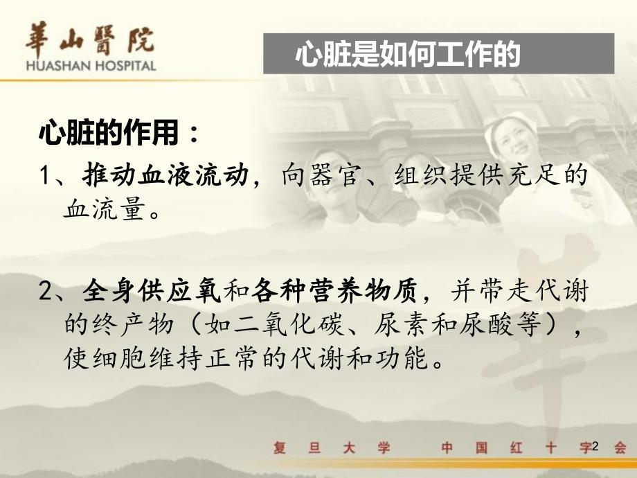 辅酶ppt课件.ppt_第2页