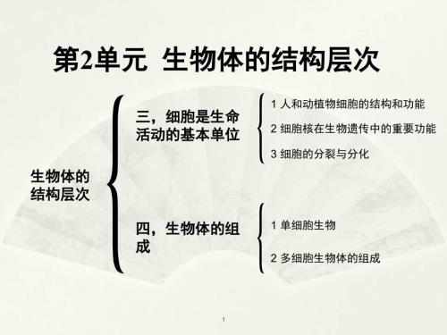苏教版七年级上册生物期末复习第二单元PPT课件.ppt