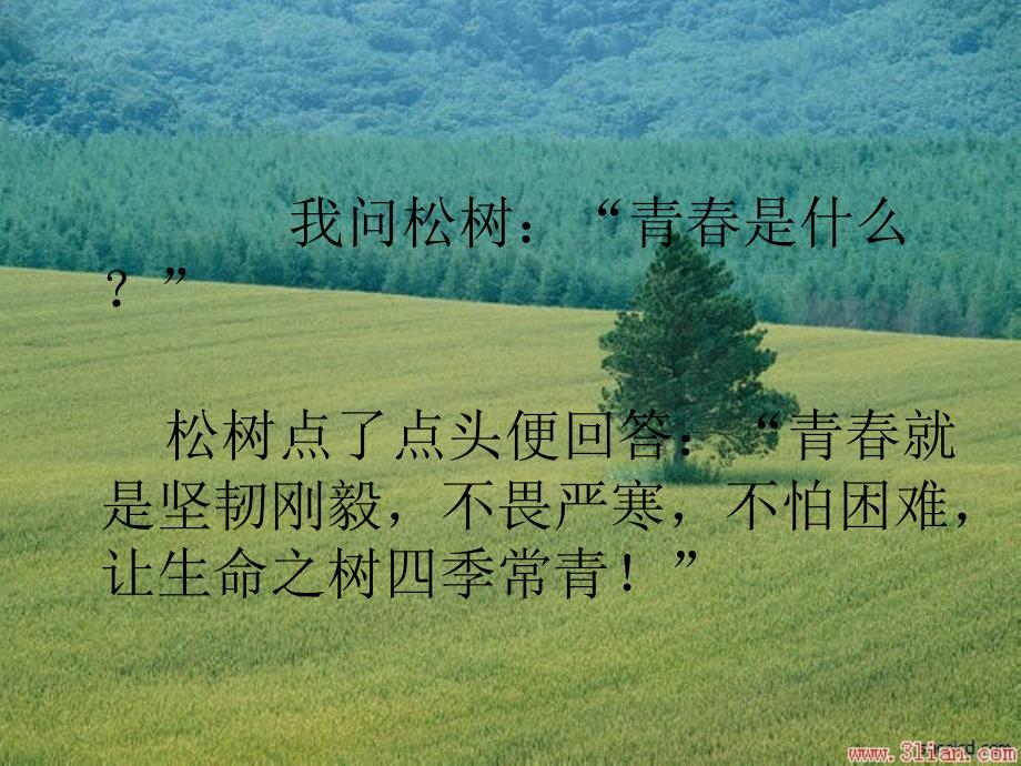 青励志PPT课件.ppt_第3页