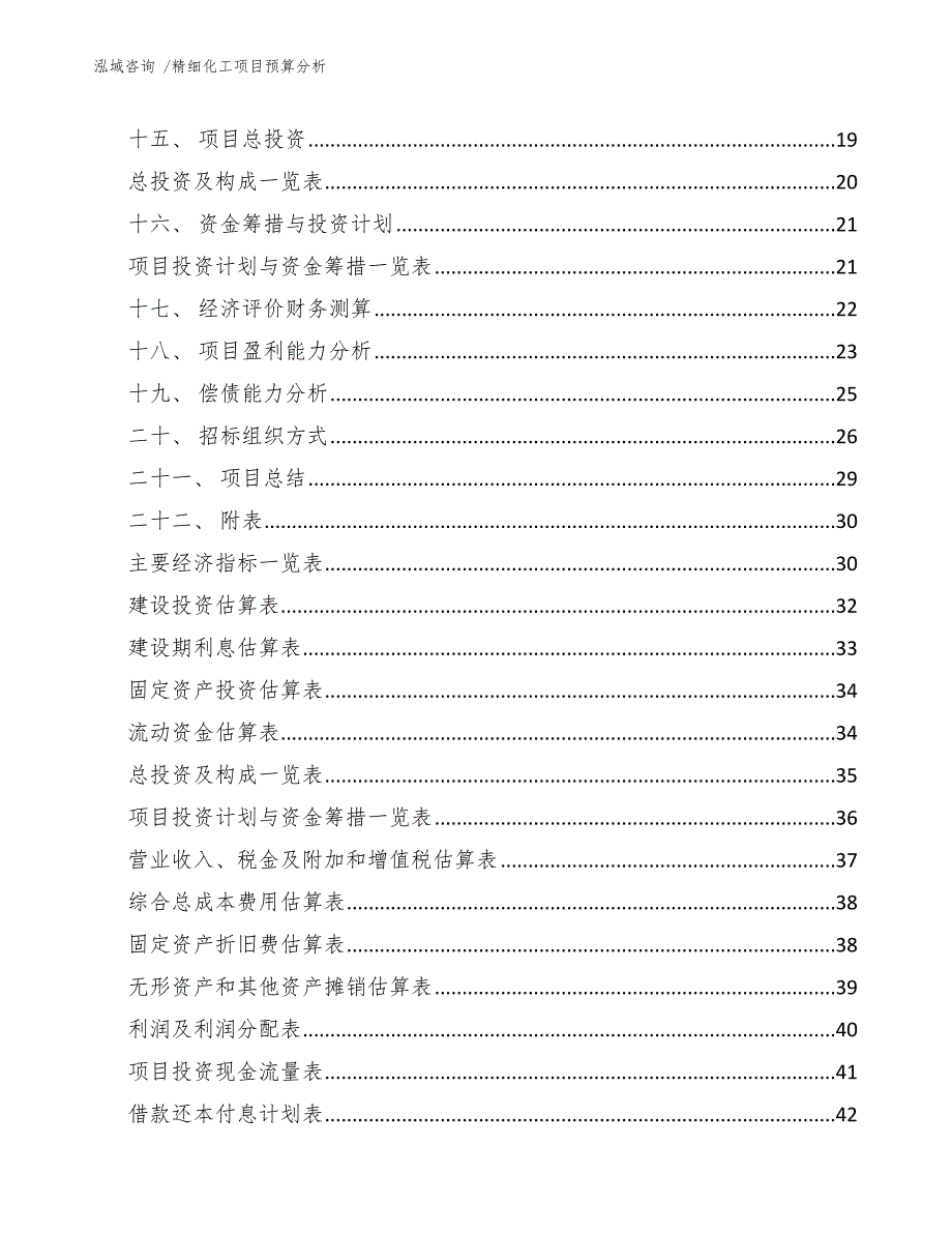 精细化工项目预算分析.docx_第2页