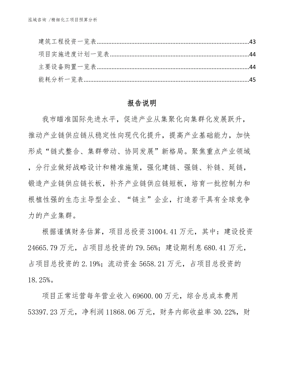 精细化工项目预算分析.docx_第3页