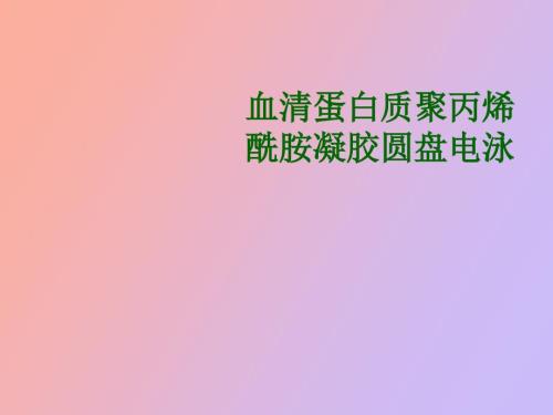 血清蛋白质聚丙烯酰胺凝胶圆盘电泳.ppt