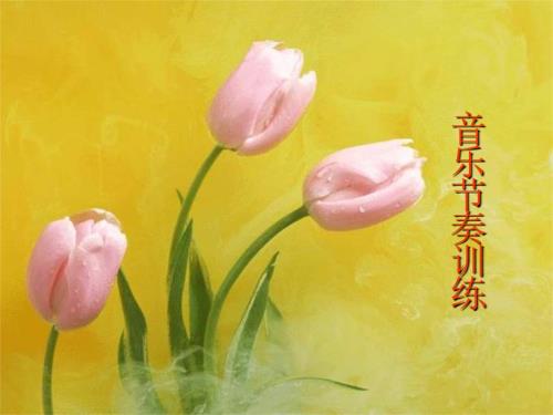 音乐节奏训练课件.ppt