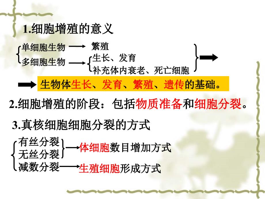 细胞的生命历程PPT课件.ppt_第3页
