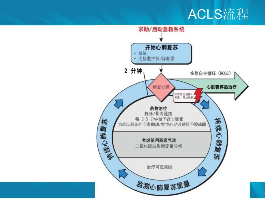 高级生命支持PPT课件.ppt_第3页
