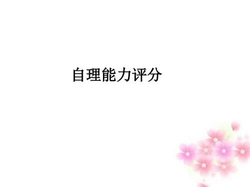 自理能力评分PPT课件.ppt