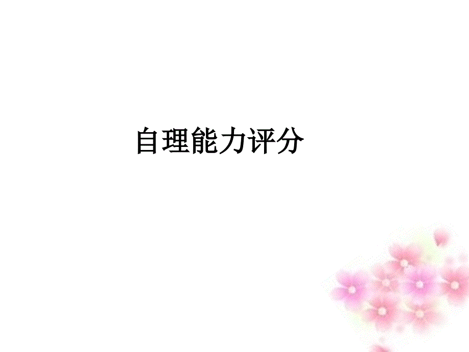 自理能力评分PPT课件.ppt_第1页