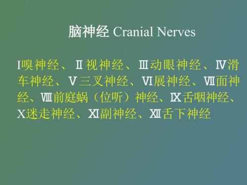 脑神经植物神经.ppt