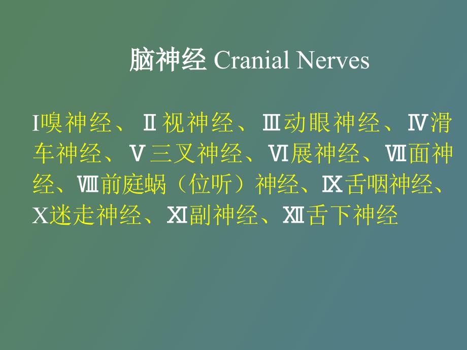 脑神经植物神经.ppt_第1页