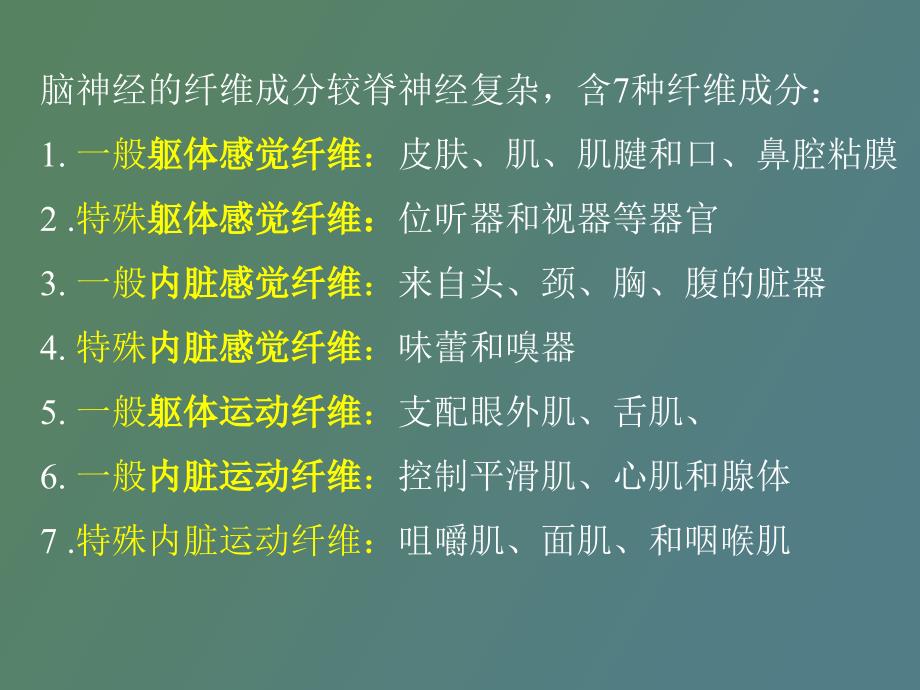 脑神经植物神经.ppt_第3页
