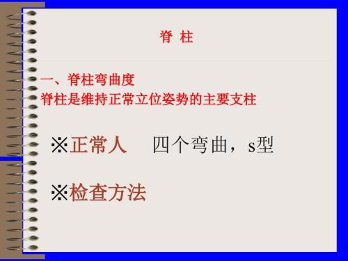 脊柱和四肢的检查PPT课件.ppt