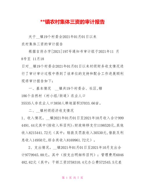 镇农村集体三资的审计报告.doc