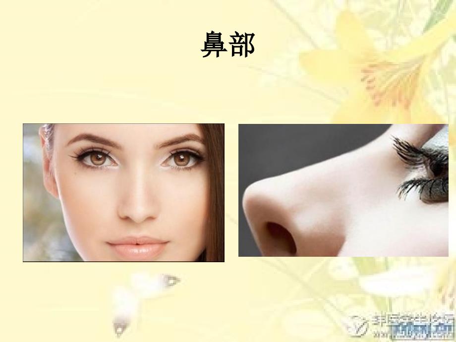 鼻骨骨折课件.pptx_第3页