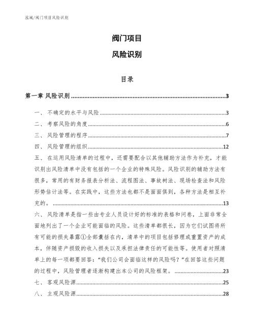 阀门项目风险识别范文.docx